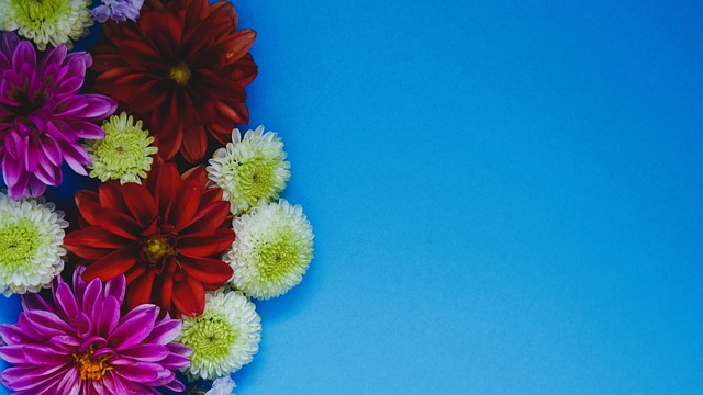 赛上的精彩 赛上的精彩