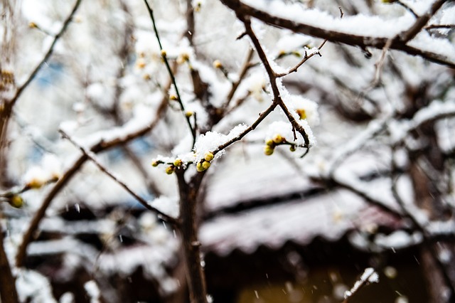 比赛节奏