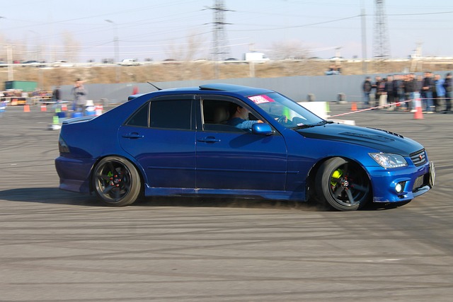 林对萨勒马 林对萨勒马