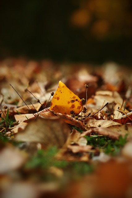 尝试新阵型 尝试新阵型