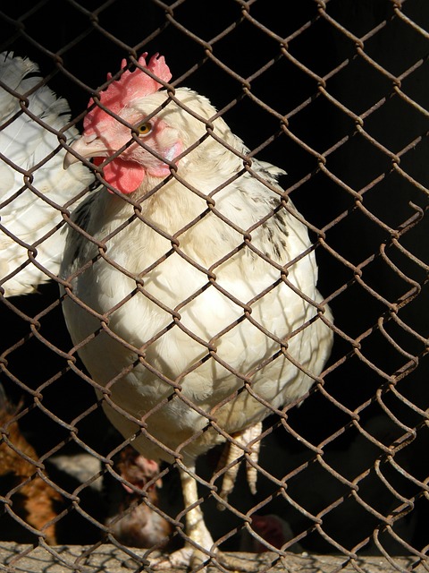 总能及时切 总能及时切