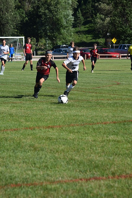 运动员可以 运动员可以