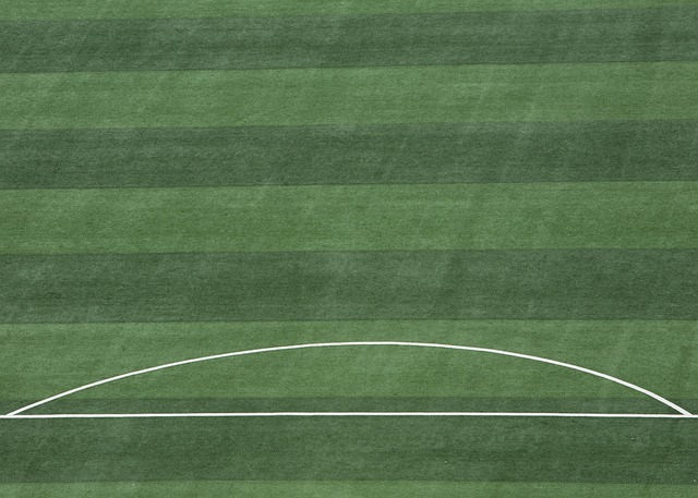 下了一波激 下了一波激