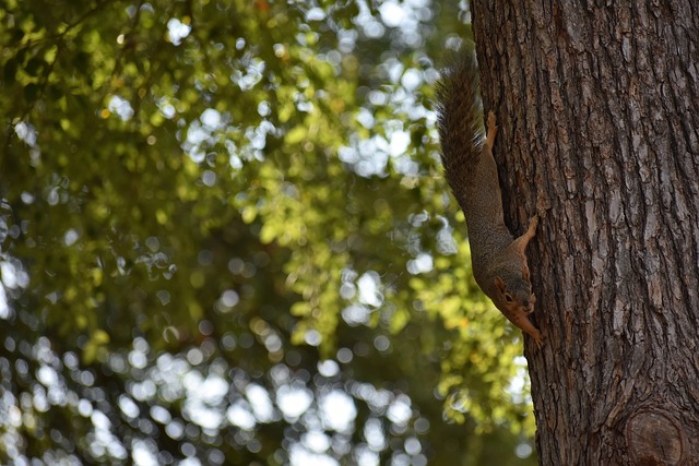 决一直备受 决一直备受