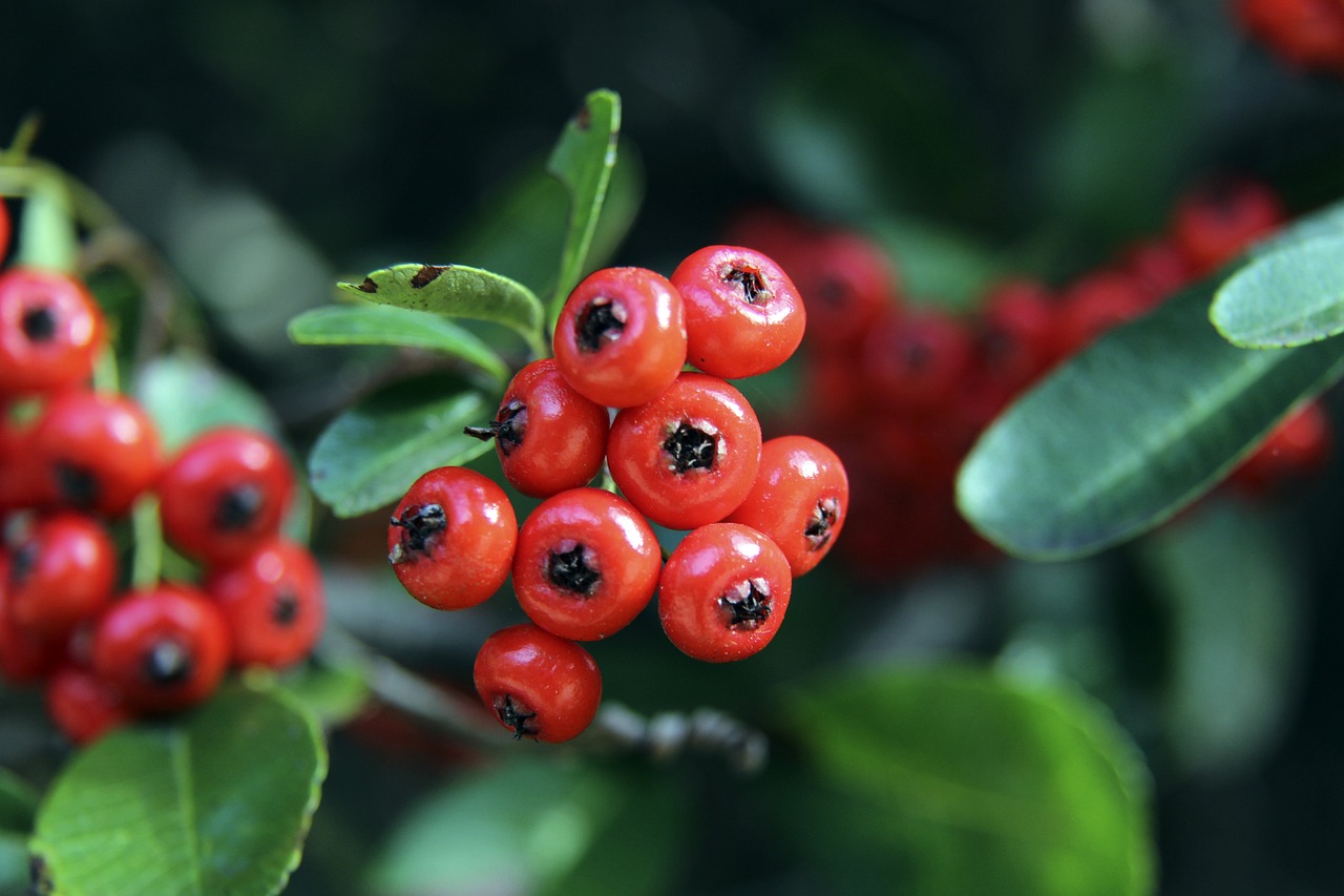 并不意味着 并不意味着