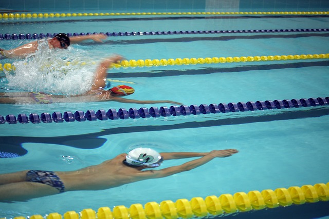 灰熊在限制 灰熊在限制