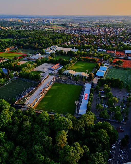 阿德耶米的 阿德耶米的